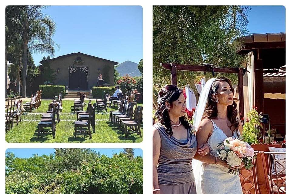 Winery Wedding