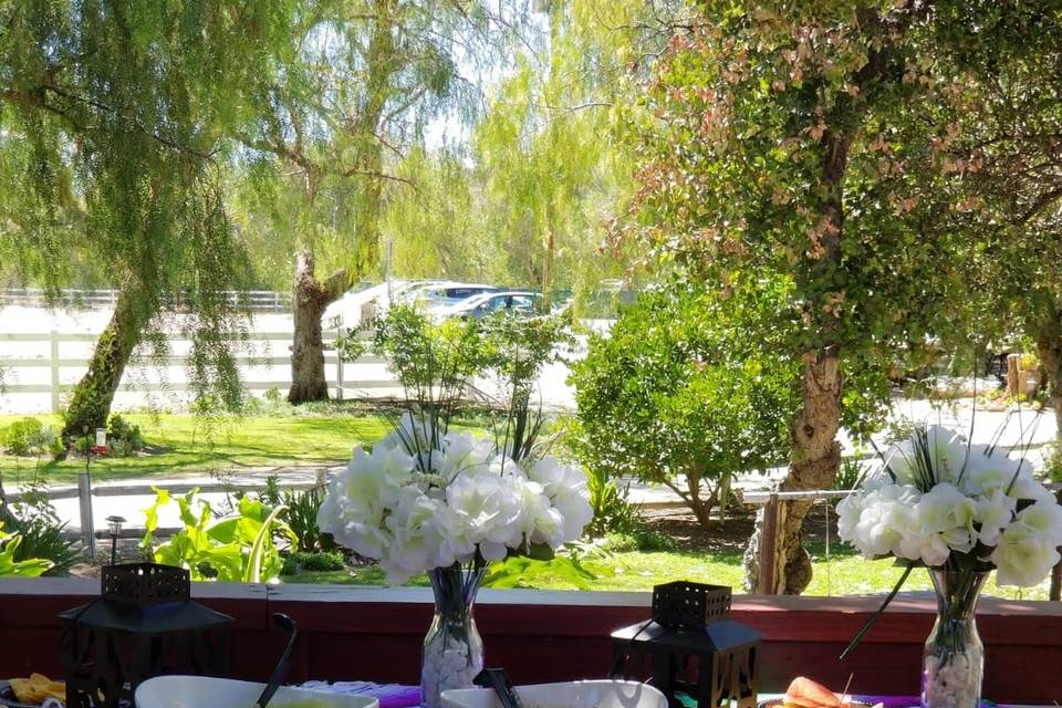 Beautiful appetizer table