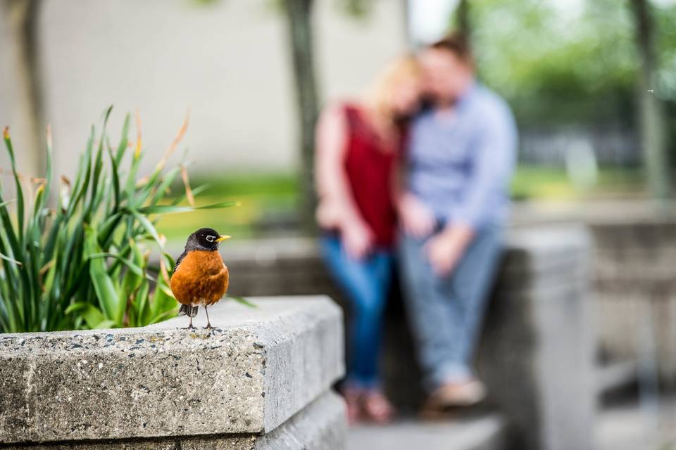 Taylor & Daniel were complete naturals during their engagement shoot with Classic Photographers own Iryna S.