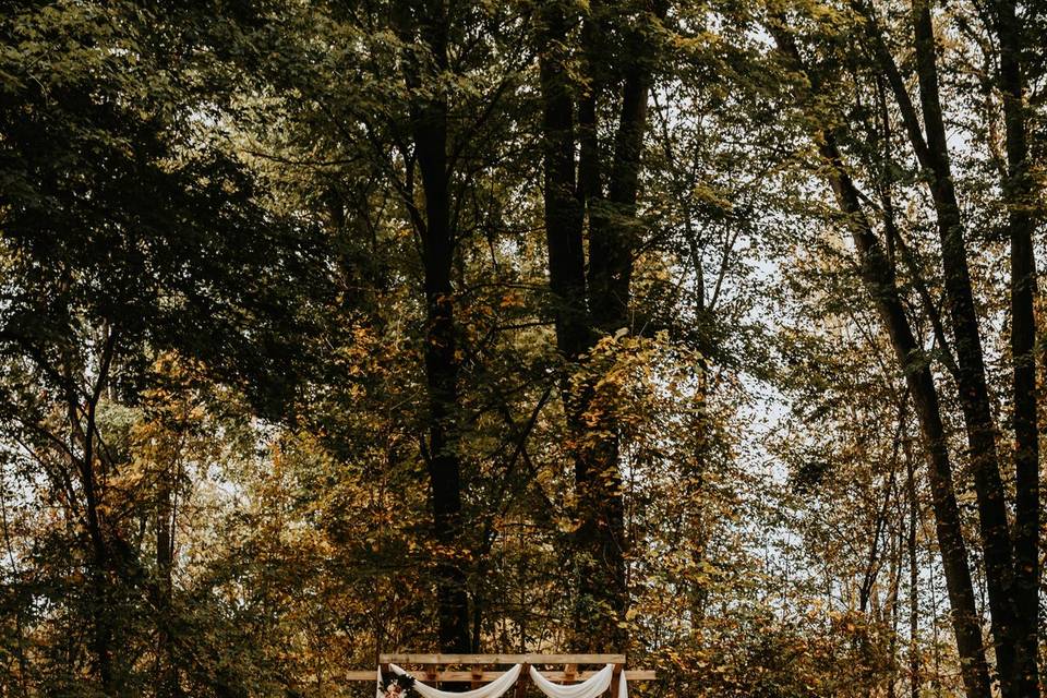 Our location in the woods