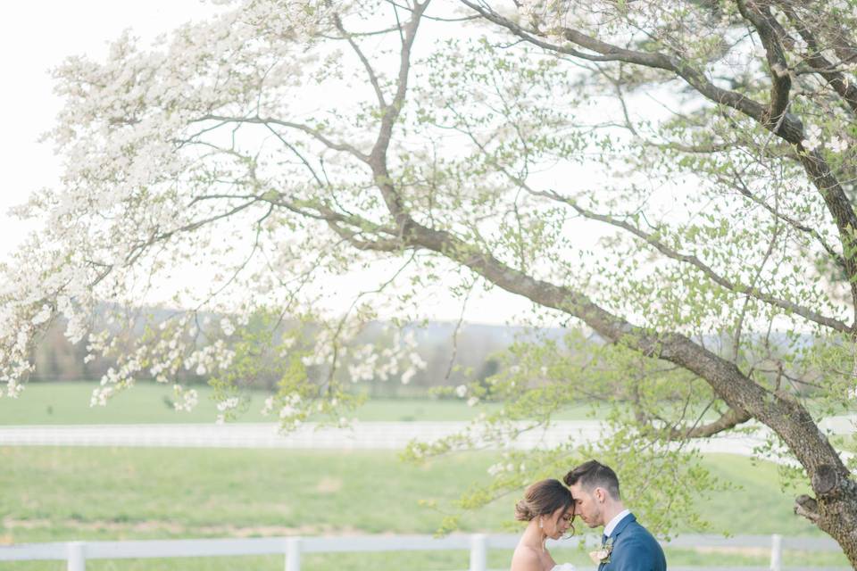 Bride & Groom