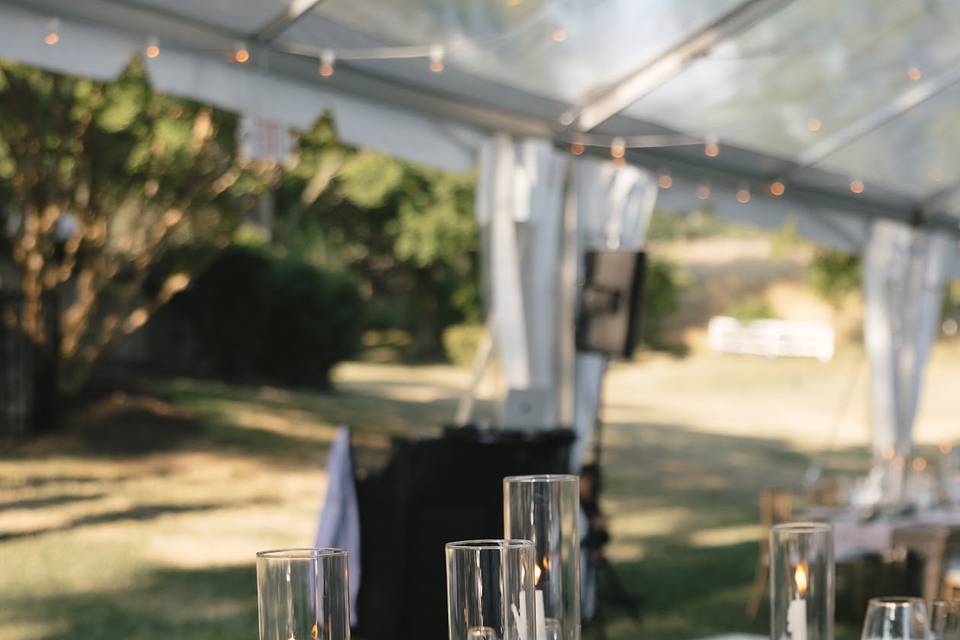 Elegant reception
