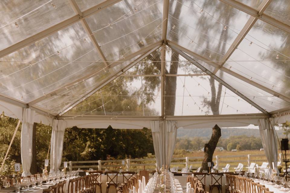 Clear top tent included