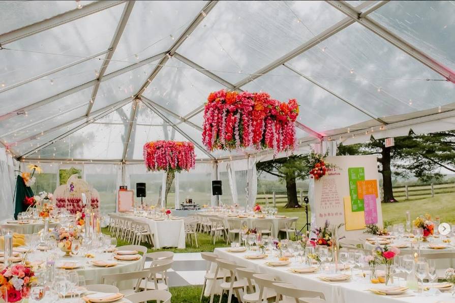 Clear top tent included