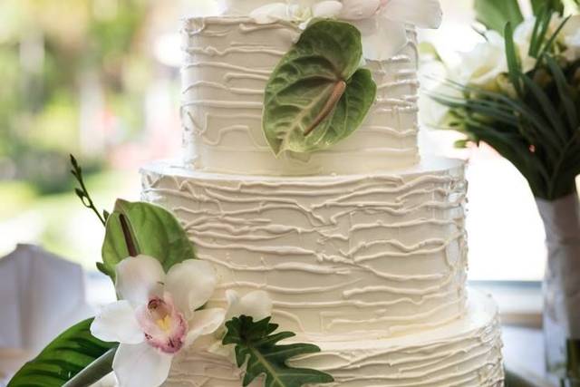 Special Occasions by Alexandria Oscar
