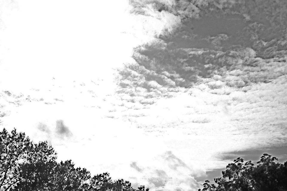 Queen City Photography