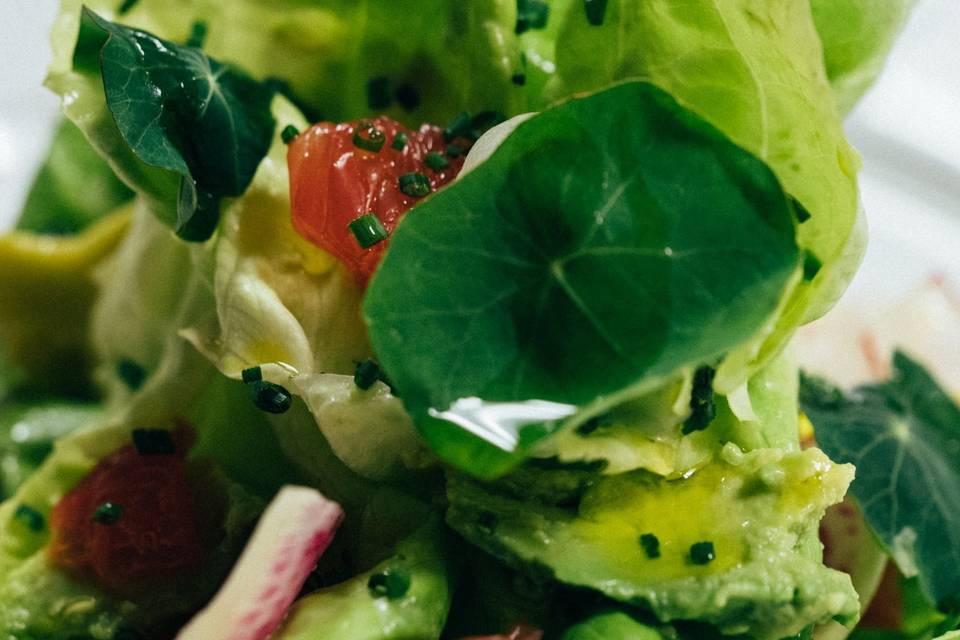 Butter Lettuce Salad