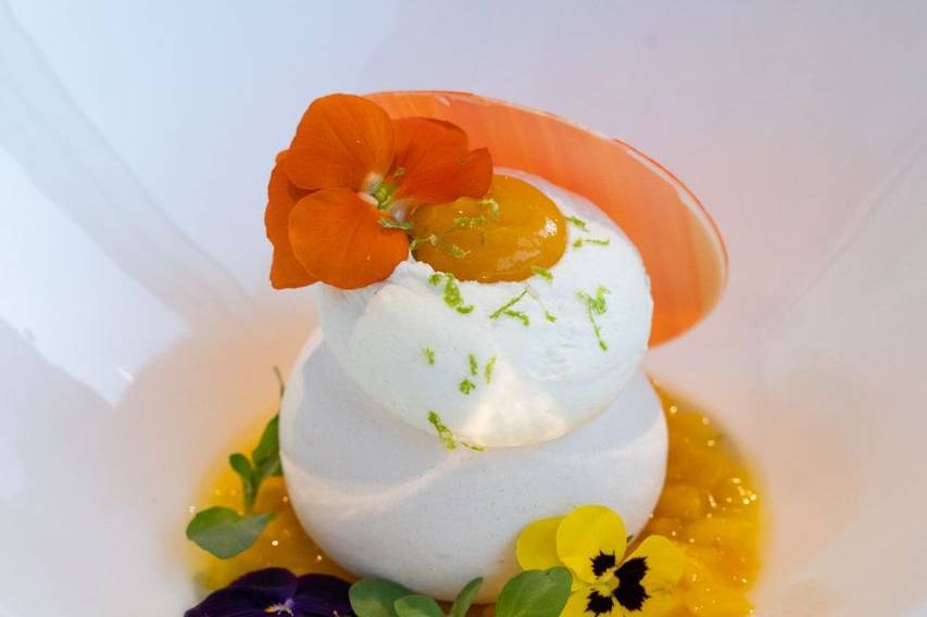 Mango Pavlova