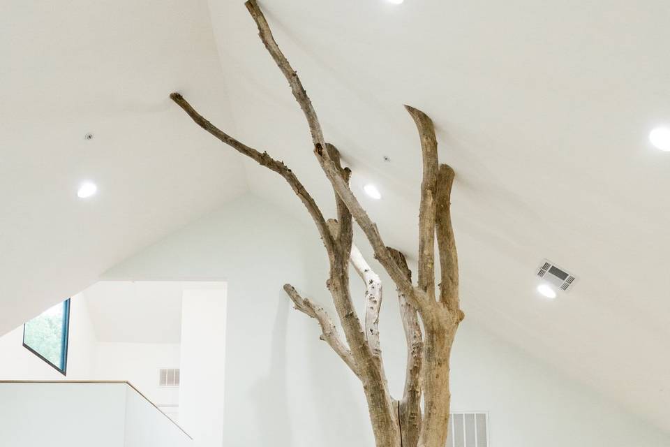 Tree Indoor