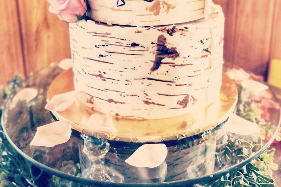 Rustic Birch bark cake