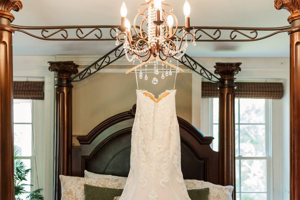 Gown spotlight