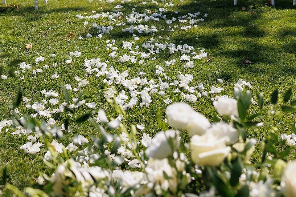 Ceremony in the garden