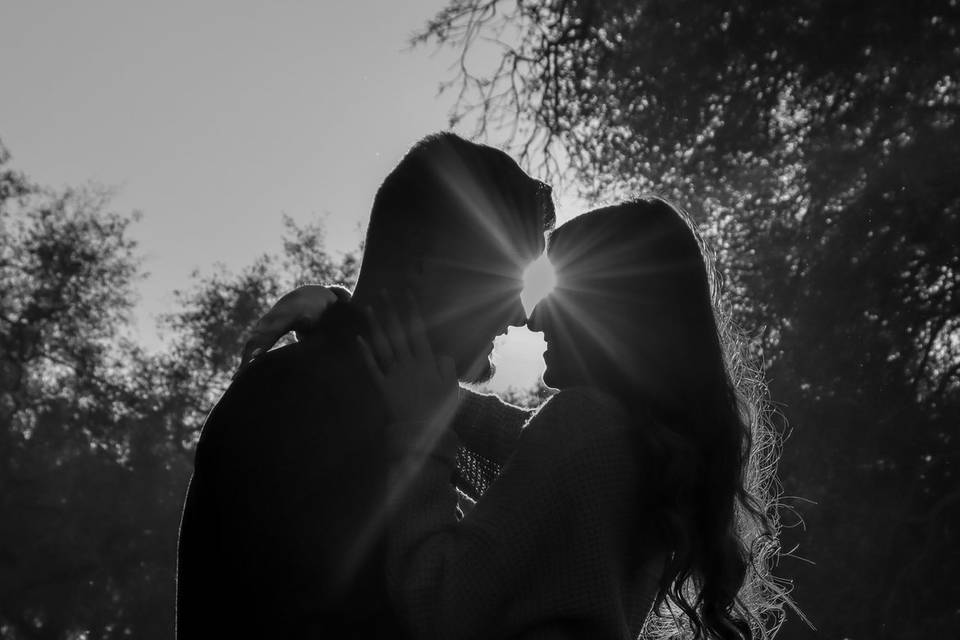 Engagement