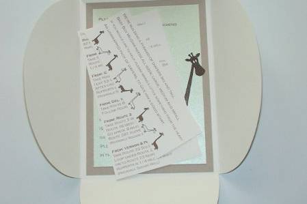 babcy shower invite and components