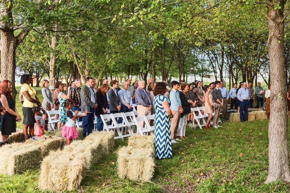 Wedding at Horse Park in Dallas, TX. (October 2016)