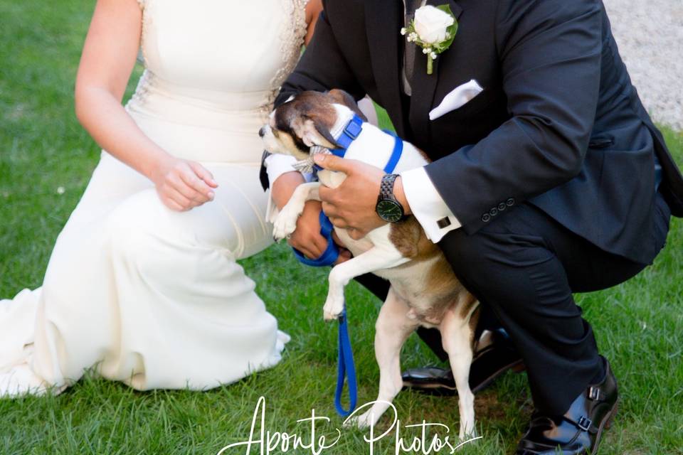 Puppy Love