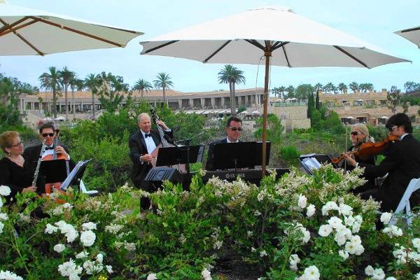 The Enchanted Evening Chamber Ensemble performing for a wedding ceremony at the Resort at Pelican Hill in Newport Coast, California.