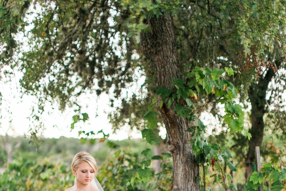 Bridal portrait