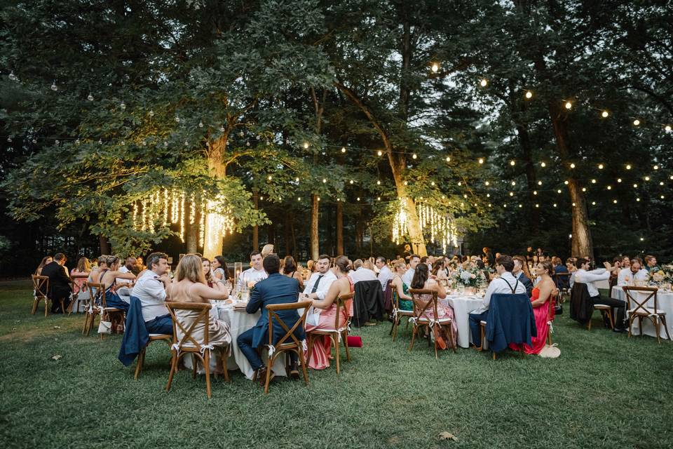 Bistro & Fairy Drop Lighting