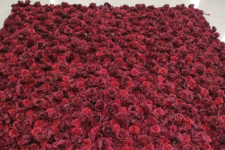 Red rose flower wall