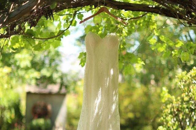 Dress hung on tree
