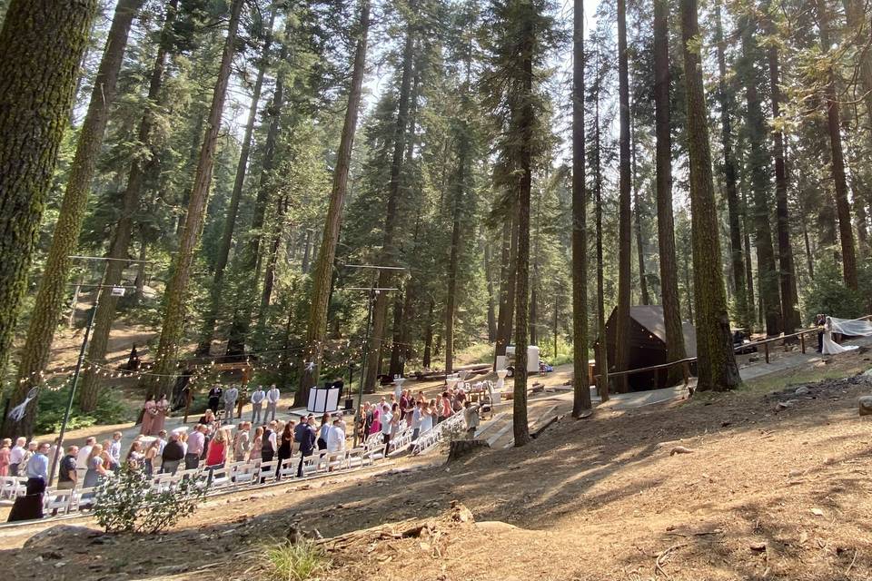 Forest wedding ceremony