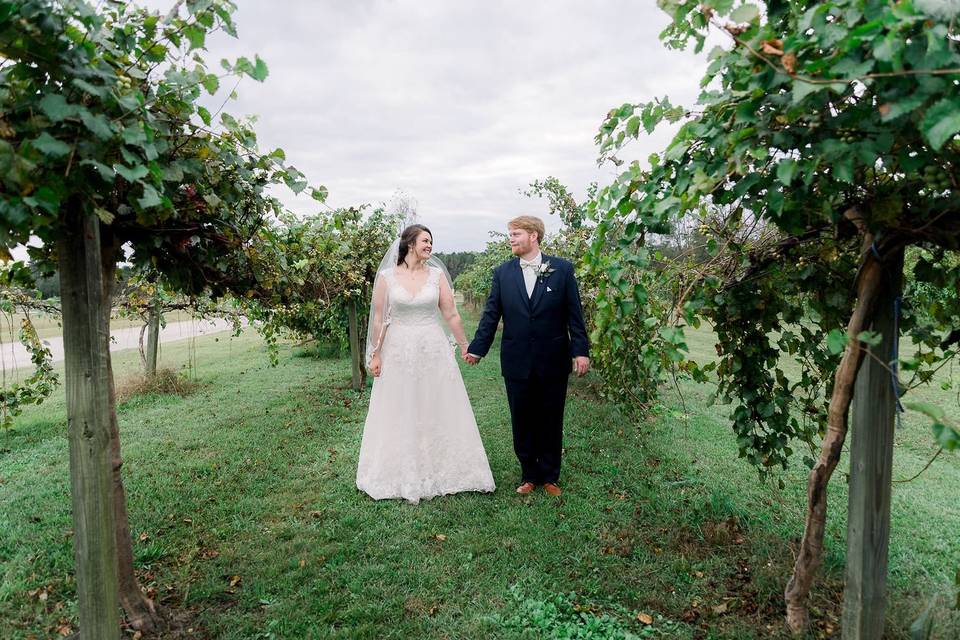 Vineyard Portraits