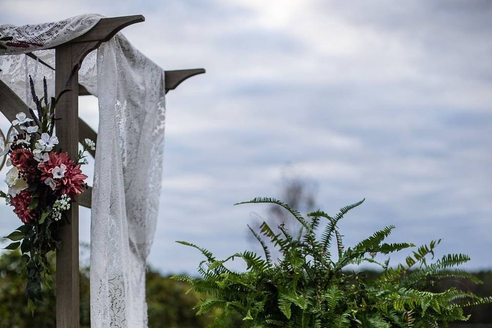 Vineyard Details