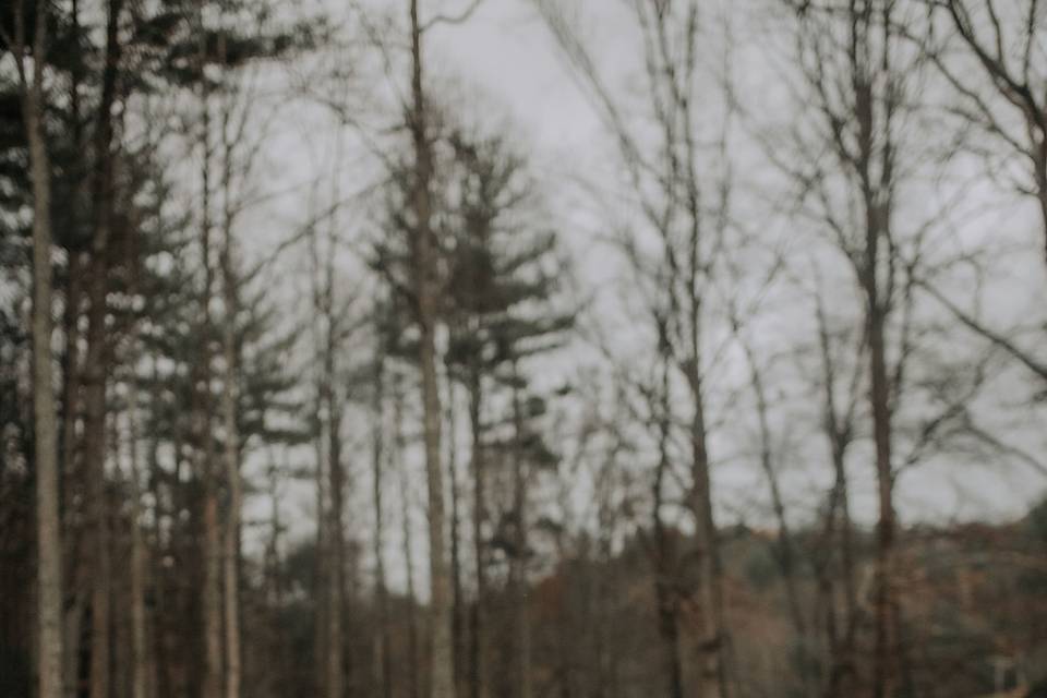 Wonderlust