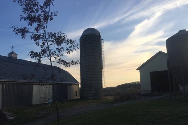 Evening at the silo