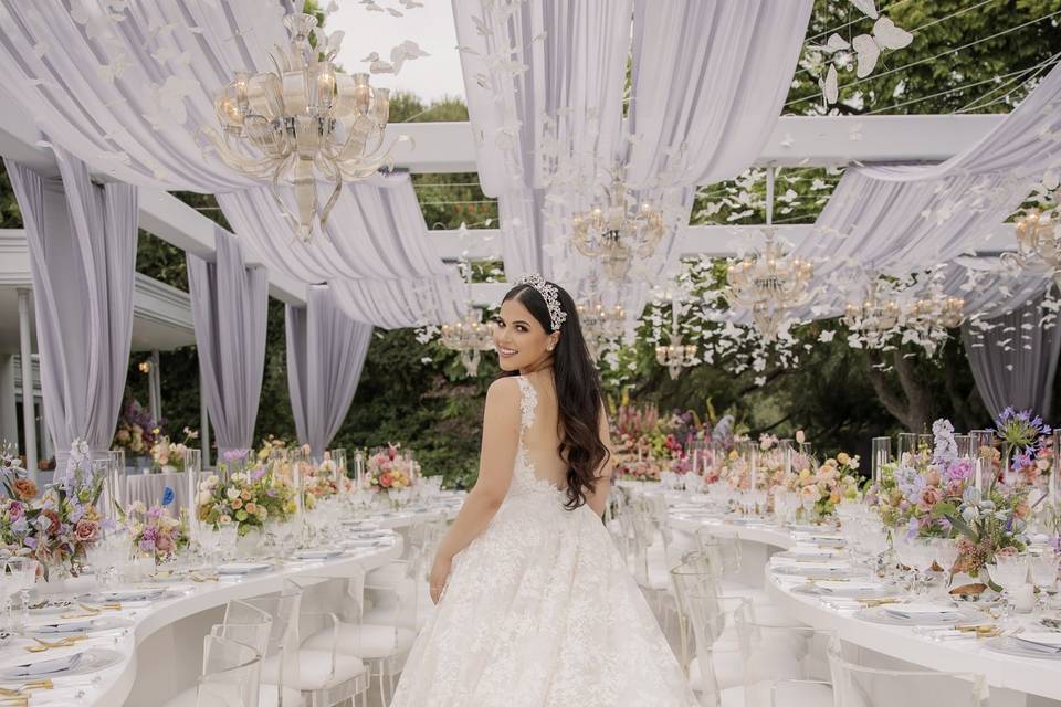 Beautiful classic bride