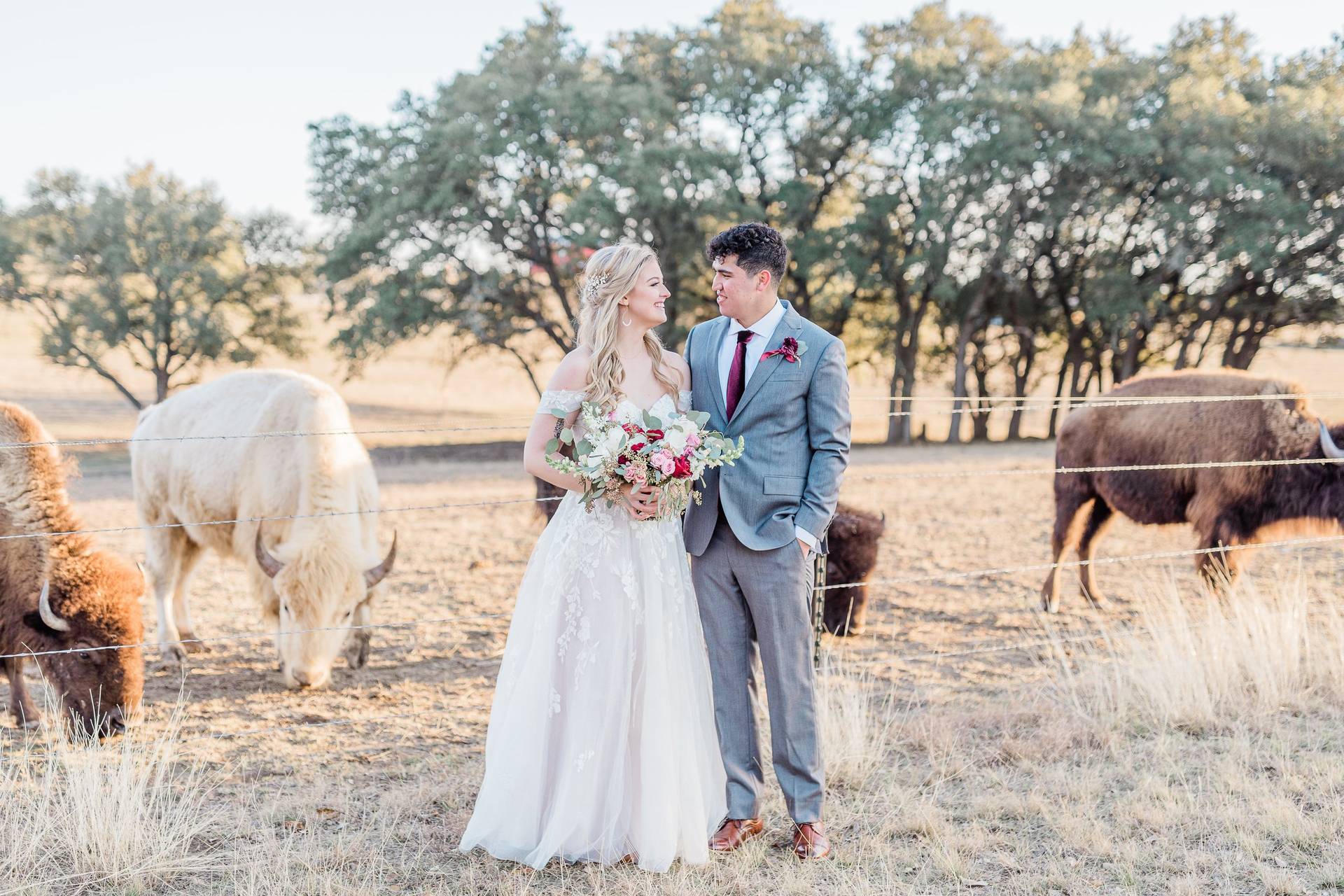 Wagon Springs Ranch - Barn & Farm Weddings - Burnet, TX - WeddingWire