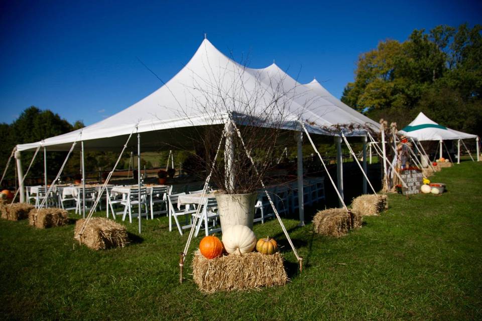 Fall Tents - 1