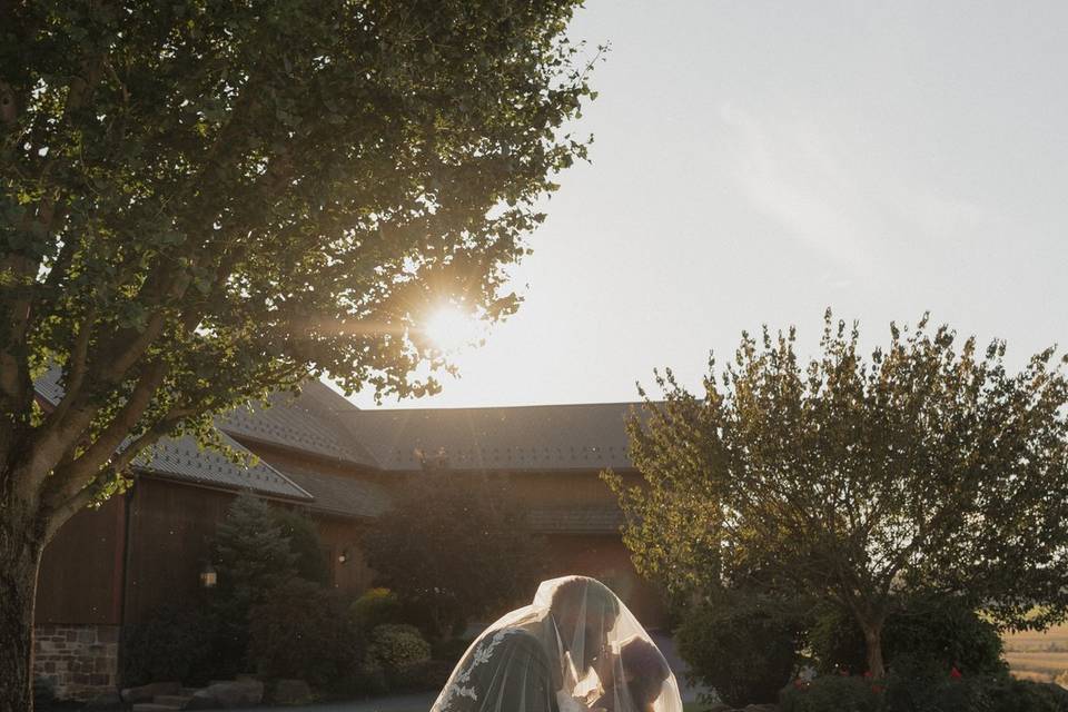 Bride and Groom portrait