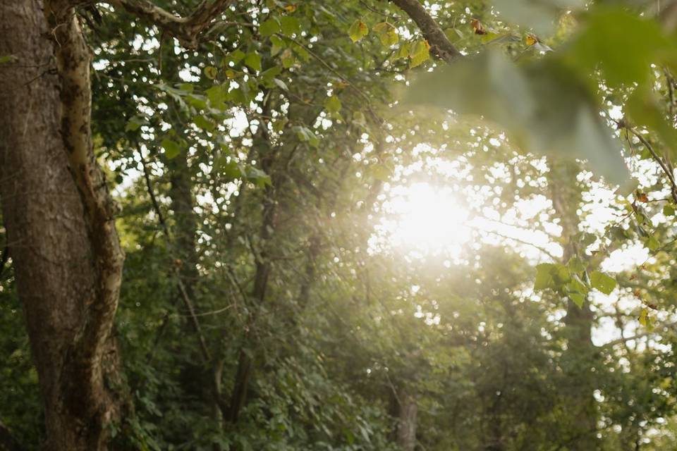 Engagement session gettysburg