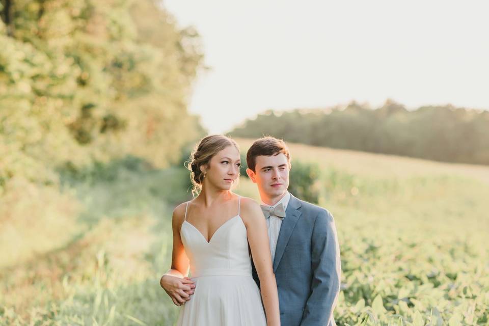 Golden hour in a field