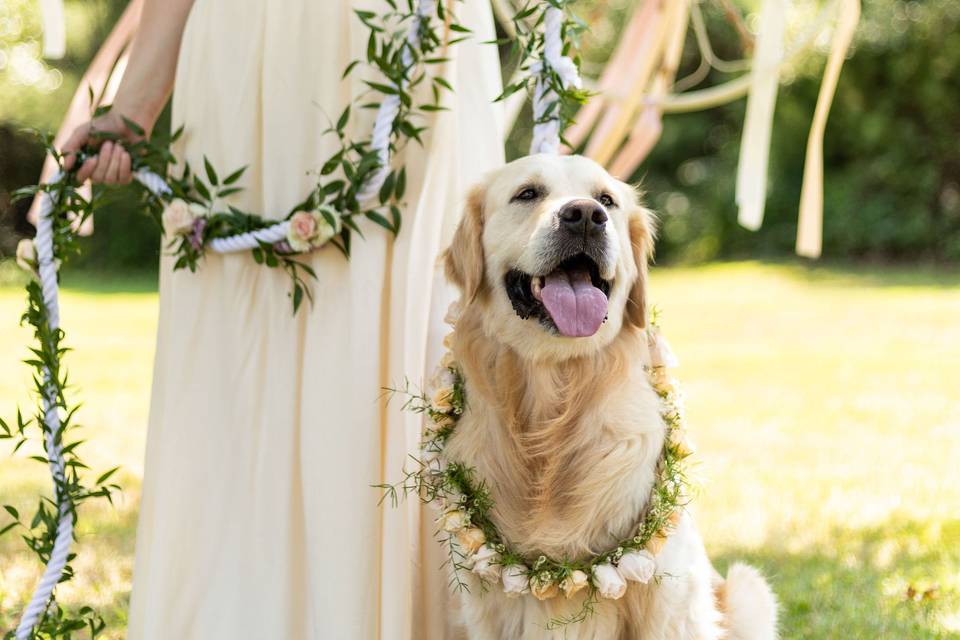 Flower Dog Leash