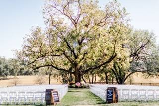 The wedding tree