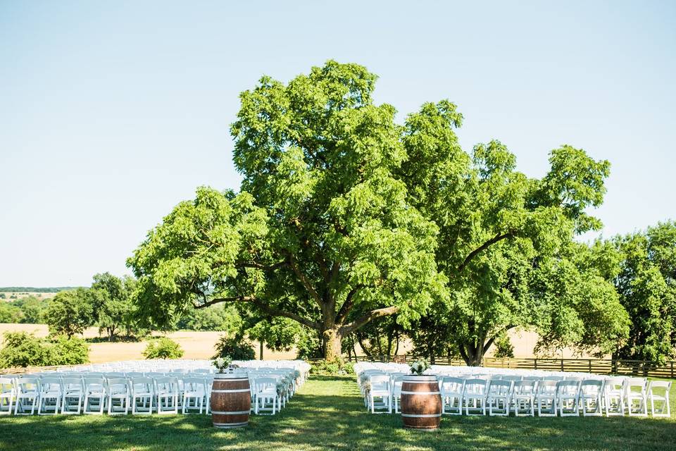 Ceremony site under the tree