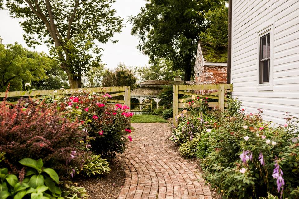 Garden with a path
