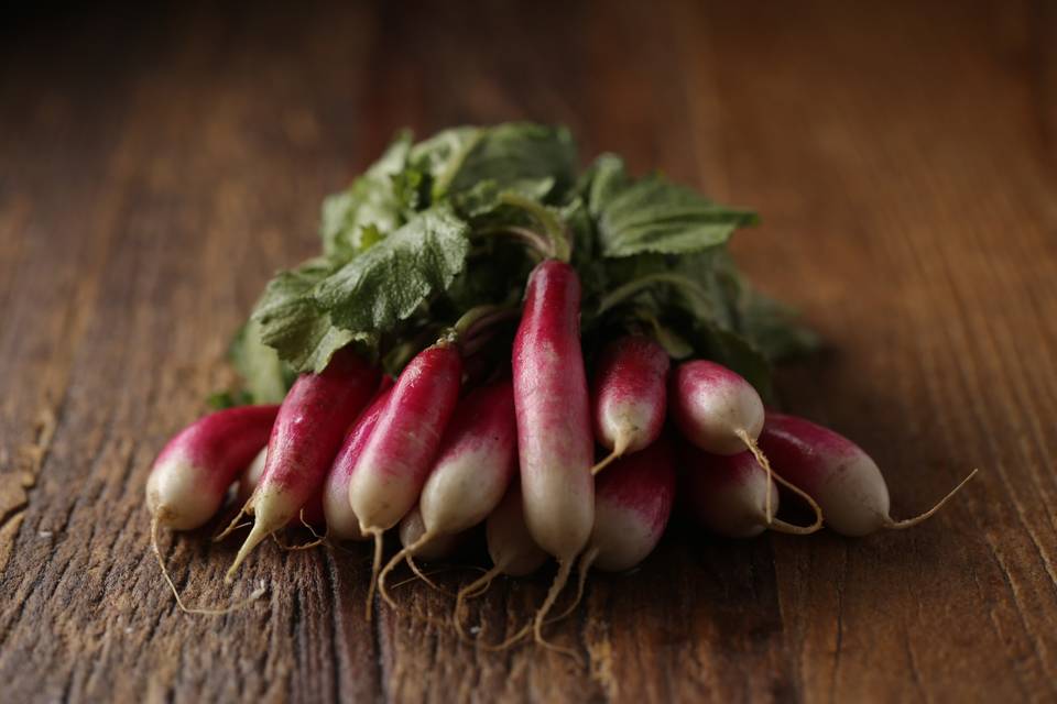 Radish