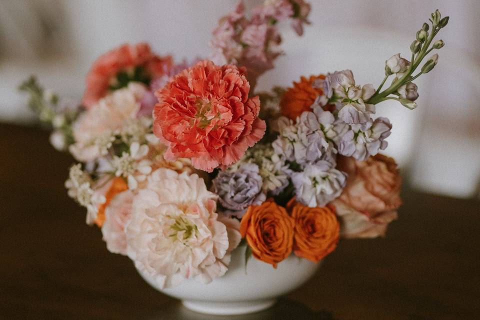 Leigh Anne Brader Photography