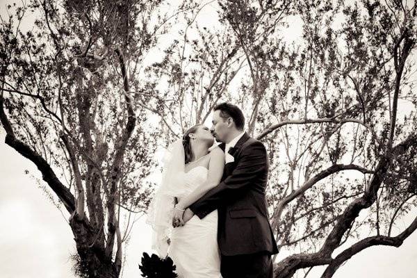 Cyndi Hardy Photo
