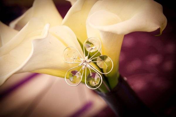 Cyndi Hardy Photo