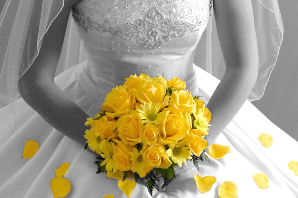 Maxheim Photography