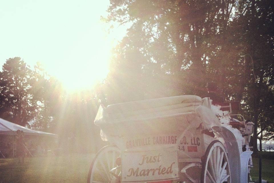 Bridal cart
