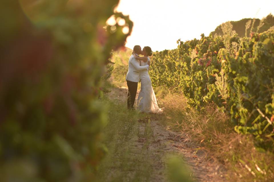 Lisbon Vineyards