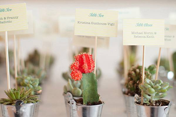 Place cards