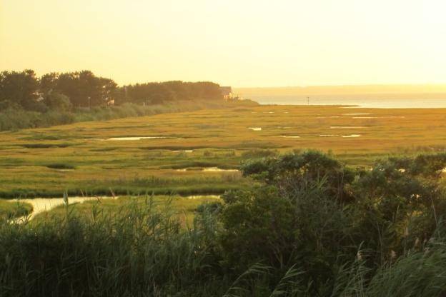 Long Beach Island Foundation of the Arts & Sciences