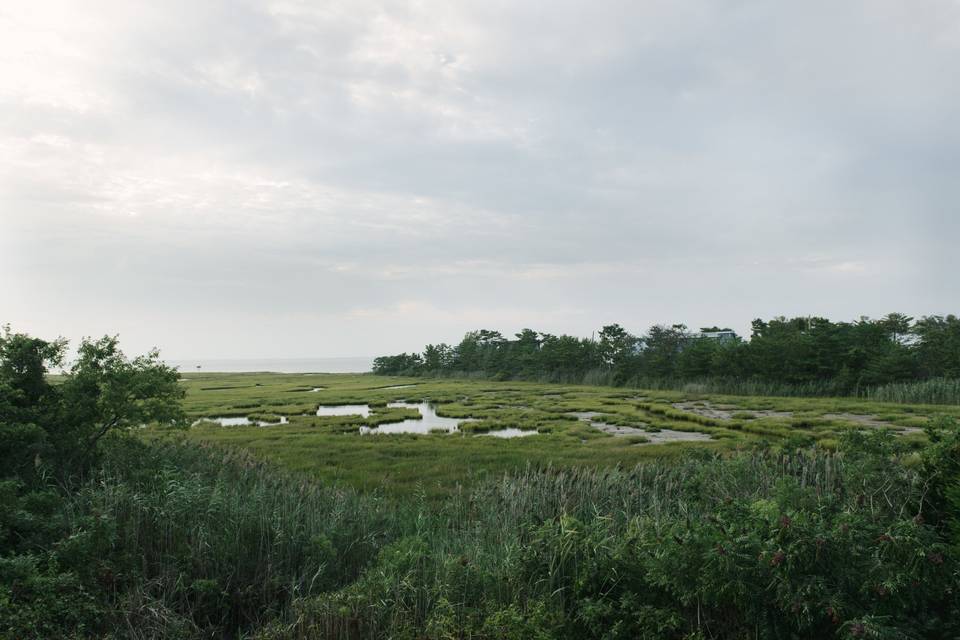 Long Beach Island Foundation of the Arts & Sciences